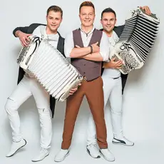 Артист Баян Микс