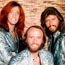 Артист Bee Gees