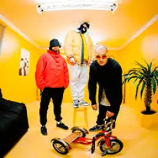 Артист Грибы