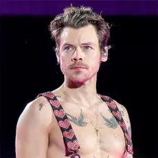 Артист Harry Styles
