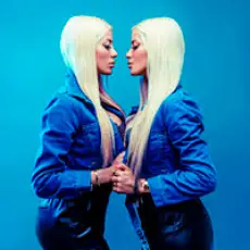 Артист Le Twins