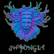 Артист Shpongle