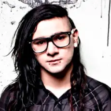 Артист Skrillex