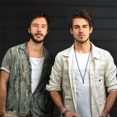 Артист Vicetone