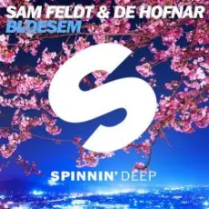 Sam Feldt & De Hofnar - Bloesem