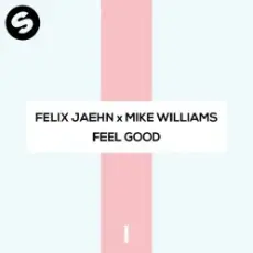 Felix Jaehn x Mike Williams - Feel Good