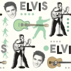 Elvis Presley - Such a Night