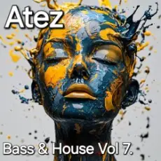 Atez - Bass House Vol7.