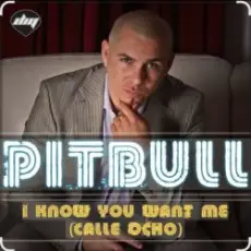 Pitbull - I Know You Want Me