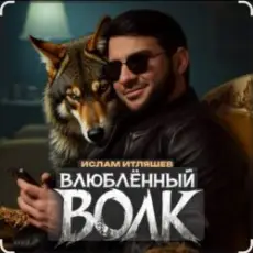 Ислам Итляшев - Влюблённый волк