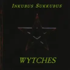 Обложка трека Paint It Black