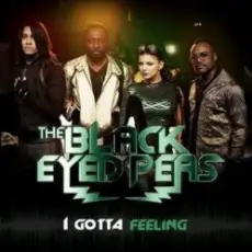 Black Eyed Peas - I gotta feeling (David Quettas Fack Im Famous remix)