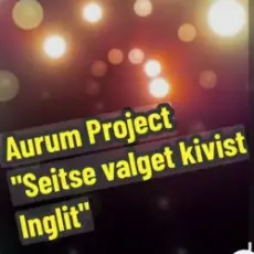 Aurum Project - Seitse Valget Kivist Inglit