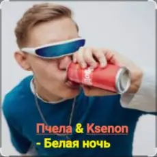 Пчела & Ksenon - Белая ночь