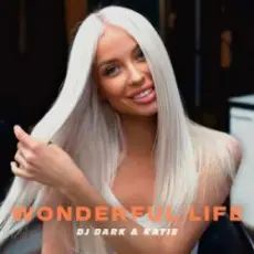 Dj Dark & Katie - Wonderful Life