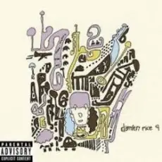 Damien Rice - Older Chests
