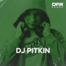 Dj Pitkin - RАЙ