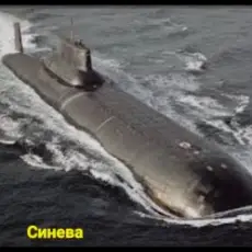 unknown - Синева