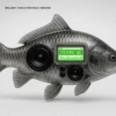 Wellboy & Revchik & Pavlo Poputalo - Міняй УЄ