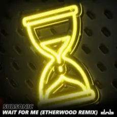 Subsonic - Wait For Me (Etherwood Remix)
