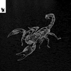 Ship Wrek & Datti - Animal