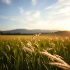 Сергей Видов - Ветерок