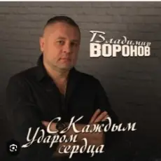 Владимир Воронов - Сержант