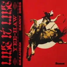 Braaheim & Danny Ores - Like It Like (Yee-Haw)