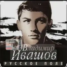 Владимир Ивашов - Поле, русское поле