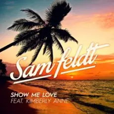 Sam Feldt - Save Tonight