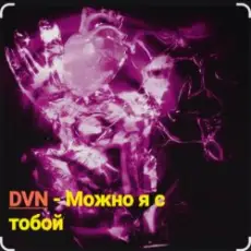 DVN - Можно я с тобой