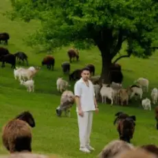 ХАС - До зими