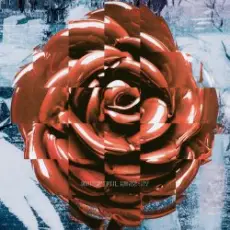 NAQT VANE - Beautiful Mess - NV