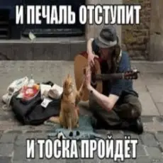 Ноль - Человек И Кошка