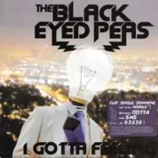 Black Eyed Peas - I gotta feeling (edit)