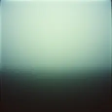 Two Percent of Shit - Кем стал