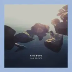 Bird Bone - Knife For My Wife