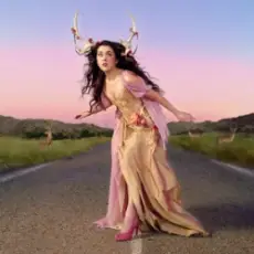 Em Beihold - Unicorn