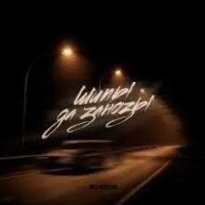 IL'GiZ - Шипы да занозы