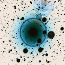 Zero 7 - Monday Night