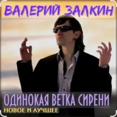 Валерий Залкин - Одинокая ветка сирени