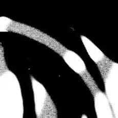 Cardopusher - Imaginary Analysis