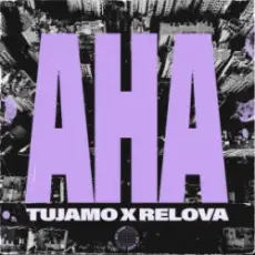 Tujamo & Relova - Aha