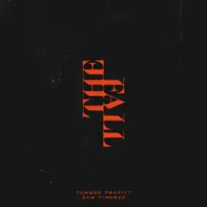 Tommee Profitt & Sam Tinnesz - Daylight