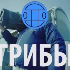 Грибы - Тает Лёд