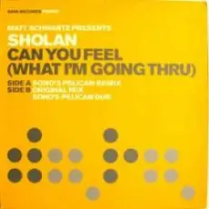Matt Schwartz pres. Sholan - Can You Feel
