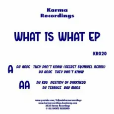 DJ Ande & DJ KOS & DJ Terrace - They Don't Know (Secret Squirrel Remix)