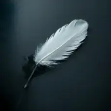 Enarvynn - Падший герой