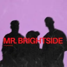 Обложка трека Mr. Brightside