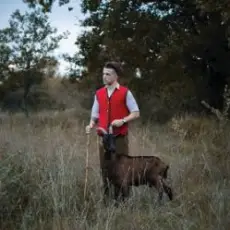 Baby Lasagna - Rim Tim Tagi Dim